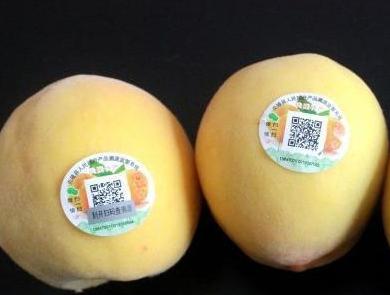 產(chǎn)品溯源二維碼